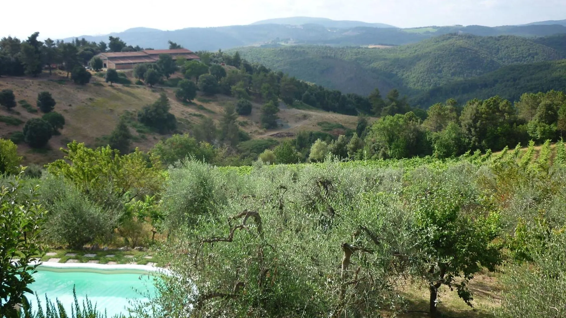 בית הארחה גאמבאסי 	Casa Ceneruzzi